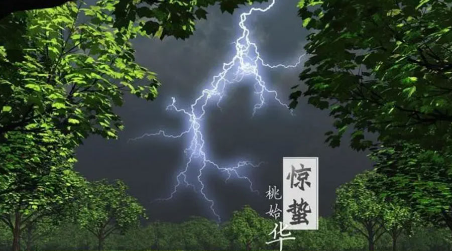 驚蟄時(shí)節！金環(huán)電器提醒大家的注意事項