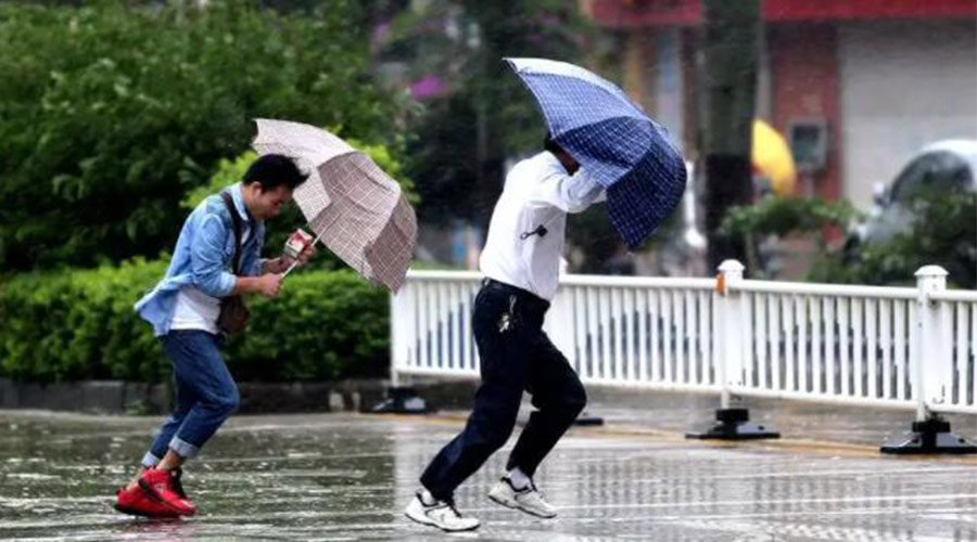 9號臺風(fēng)“馬鞍”生成！金環(huán)電器提醒大家要注意的事項