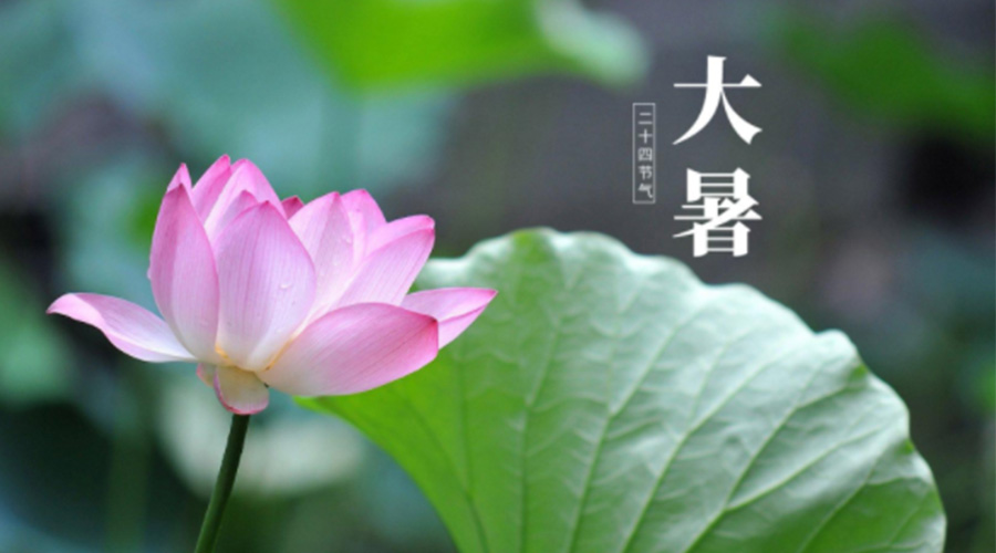 大暑時(shí)節！金環(huán)電器提醒大家注意這些干衣細節