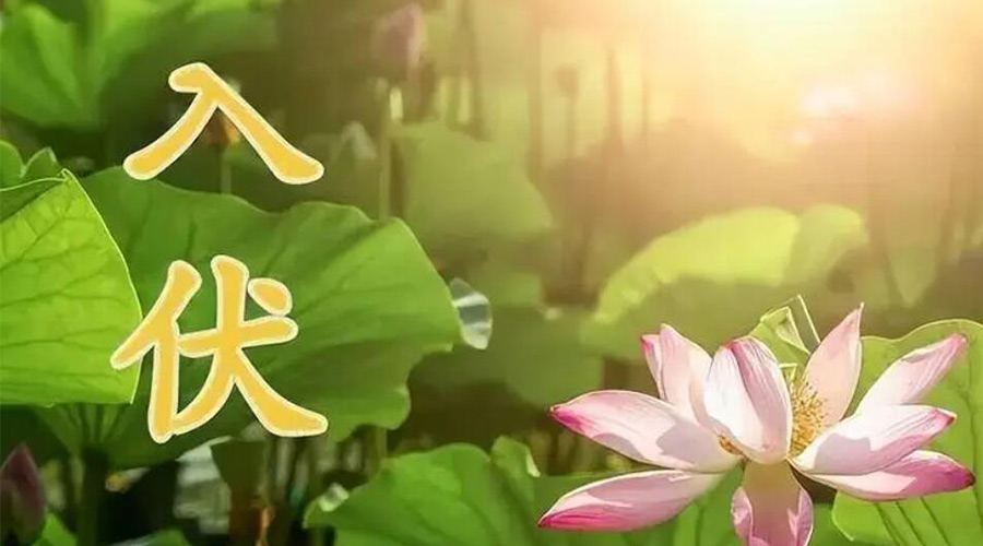 入伏天來(lái)襲！金環(huán)電器提醒大家要注意的事項