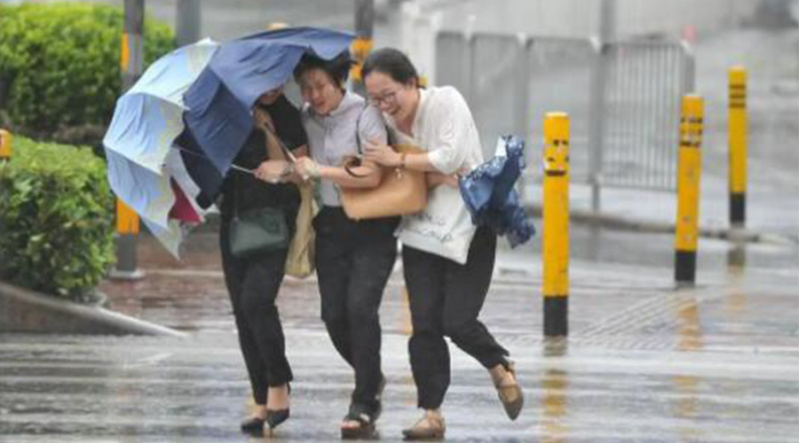 家有衣物烘干機，無(wú)懼臺風(fēng)天吹走和淋濕衣物！