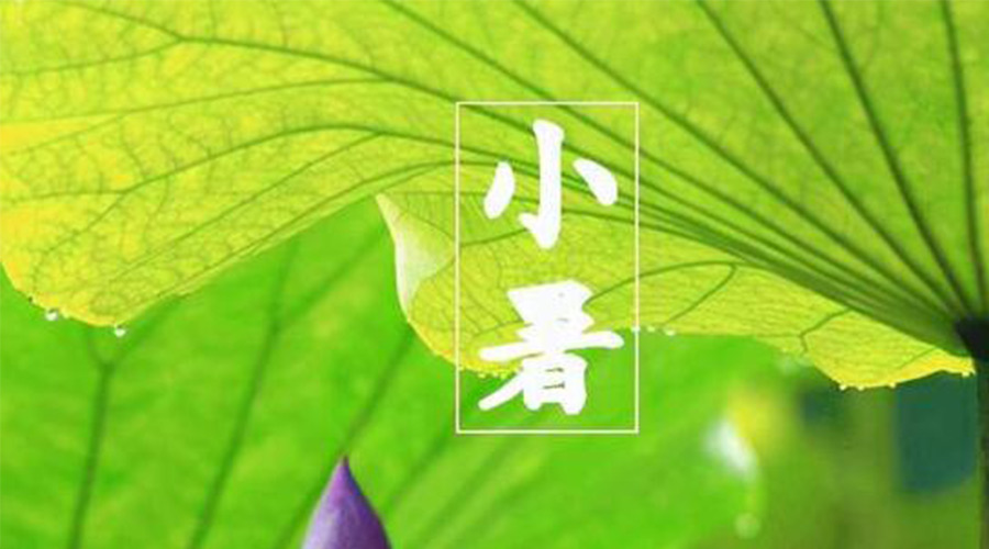 金環(huán)電器提醒 小暑時(shí)節要注意這些禁忌