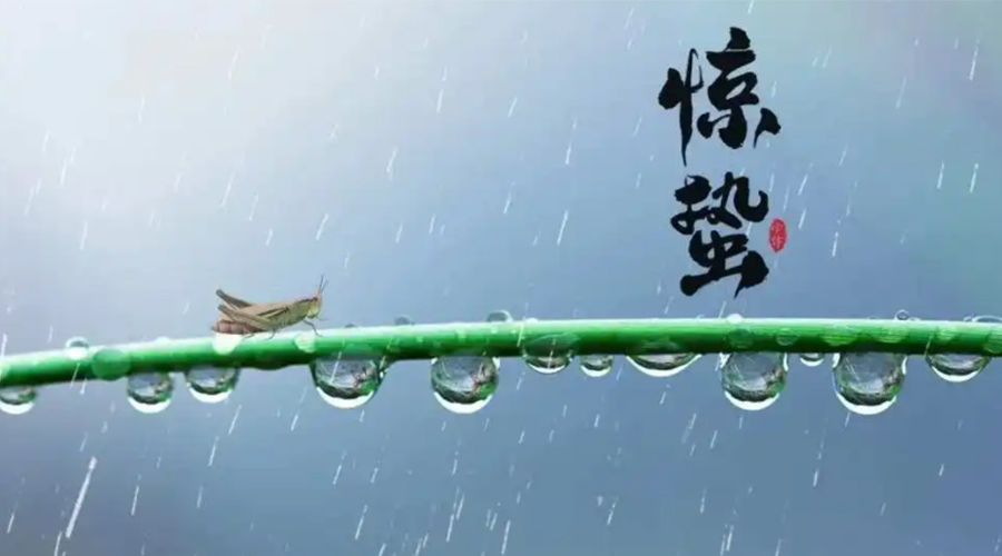 驚蟄時(shí)節！金環(huán)電器提醒大家干衣要注意這些