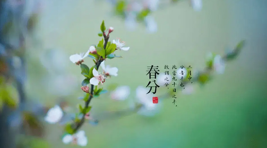 春分雨水多易生菌！金環(huán)電器提醒你衣物要注意處理