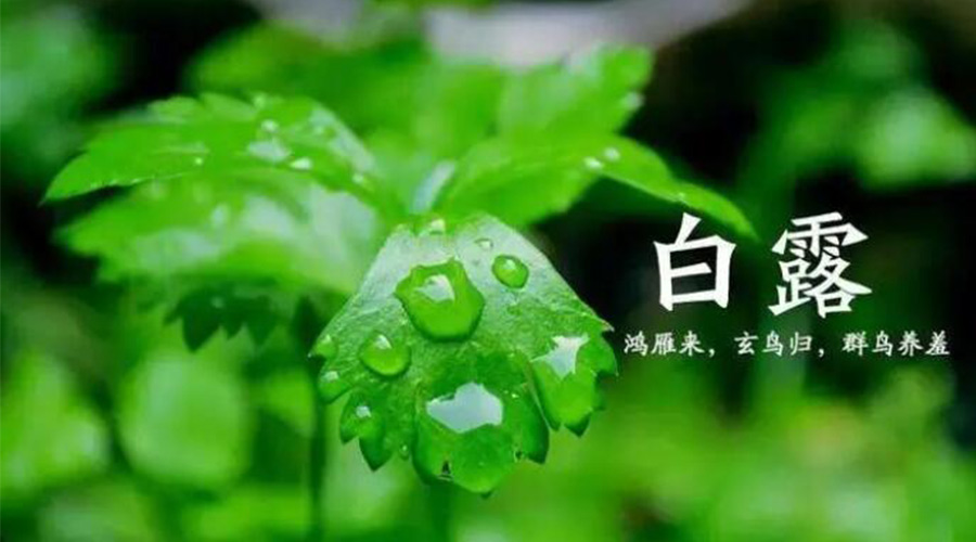 白露時(shí)節！金環(huán)電器提醒大家要注意的事項