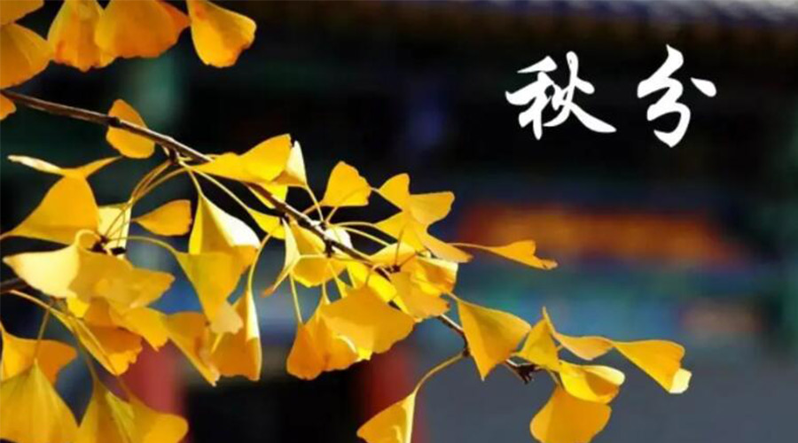 秋分時(shí)節！金環(huán)電器提醒大家要注意的事項